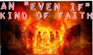 Photo Aug 13, 11 34 33 PM