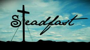 steadfast