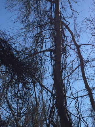 Photo Feb 27, 2 04 27 PM