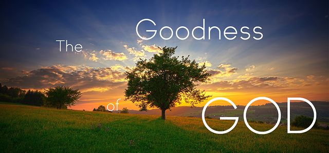 Day 19 – Misunderstanding God’s Goodness… – Pastor's Ponderings